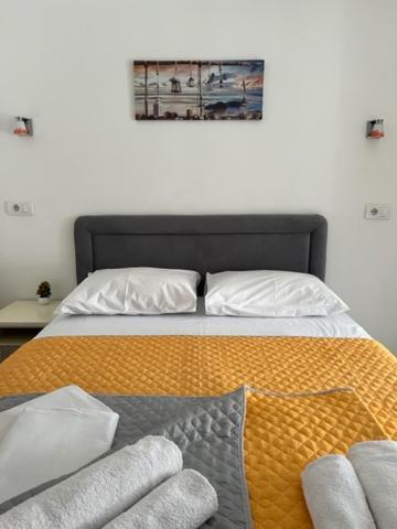 Apartment Dmd